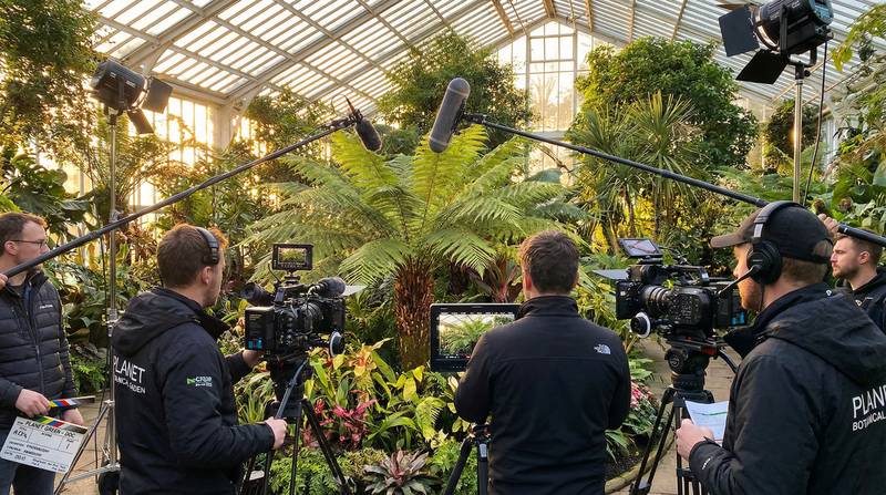 福利姬植物视频-幕后花絮视频教程